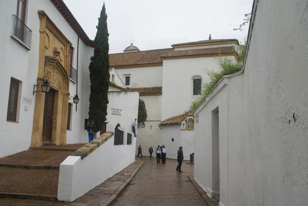 Apartamentos Victoria Bujalance 外观 照片